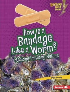 How Is a Bandage Like a Worm? - Brody, Walt