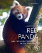 Red Panda - Bild 1