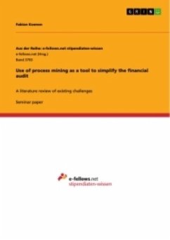 Use of process mining as a tool to simplify the financial audit