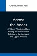 Across The Andes; A Tale Of Wandering... - Bild 1