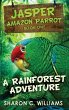 A Rainforest Adventure - Bild 1