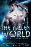 The Fallen World (eBook, ePUB)