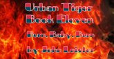 Urban Tiger Book Eleven Burn, Baby, Burn (eBook, ePUB)