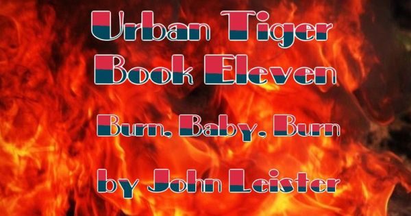 Urban Tiger Book Eleven Burn, Baby, Burn (eBook, ePUB)