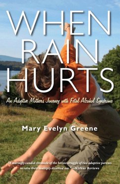 Cover When Rain Hurts (eBook, ePUB)