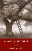 An Age of Madness (eBook, ePUB)
