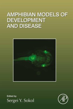 Cover Amphibian Models of Development and Disease (eBook, ePUB)
