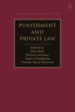 Punishment and Private Law (eBook, PDF)