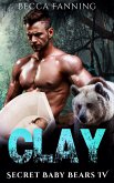 Clay (eBook, ePUB)