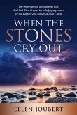 WHEN THE STONES CRY OUT (eBook, ePUB)