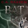 BAT Boy 1 (MP3-Download) - Bild 1