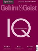 Gehirn&Geist 7/2021 IQ (eBook, PDF)