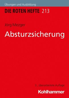 Cover Absturzsicherung (eBook, ePUB)