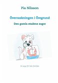 Överraskningen i Öregrund (eBook, ePUB)