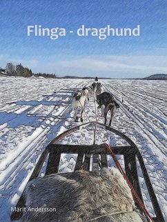 Cover Flinga - draghund (eBook, ePUB)