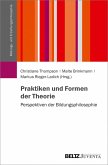 Praktiken und Formen der Theorie (eBook, PDF)