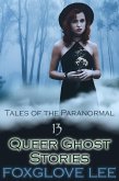 13 Queer Ghost Stories (eBook, ePUB)