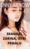 Skandal Zarina, Istri Pemalu (eBook, ePUB)