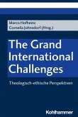 The Grand International Challenges (eBook, PDF)