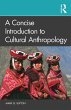 A Concise Introduction to Cultural... - Bild 1