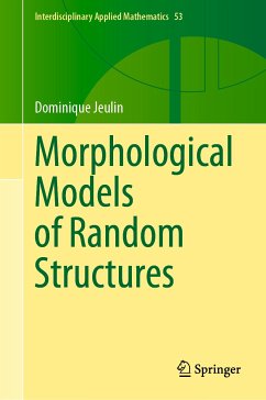 Morphological Models of Random Structures (eBook, PDF) - Jeulin, Dominique