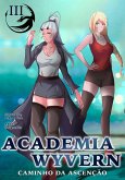 Academia Wyvern (eBook, ePUB)