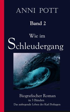 Wie im Schleudergang BAND 2 (eBook, ePUB) - Pott, Anni