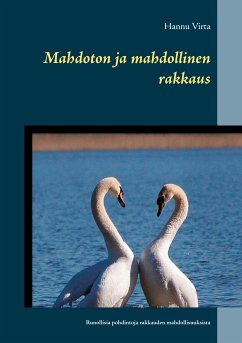 Mahdoton ja mahdollinen rakkaus (eBook, ePUB)