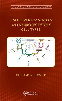 Development of Sensory and Neurosecretory Cell Types (eBook, ePUB) - Schlosser, Gerhard
