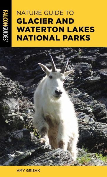 Nature Guide to Glacier and Waterton Lakes National Parks (eBook, ePUB) Nature Guide to Glacier and Waterton Lakes National Parks (eBook, ePUB)