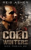 Cold Winters (Nick Fabian, #2) (eBook, ePUB)