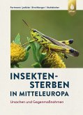 Insektensterben in Mitteleuropa (eBook, PDF)