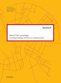 Unregelmäßige Verben im Spanischen - Larrañaga, María Pilar