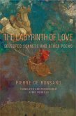 Labyrinth of Love, The (eBook, PDF)