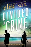 Divided in Crime (Partners in Crime Thrillers, #3) (eBook, ePUB)