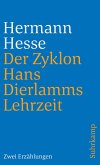 Der Zyklon und Hans Dierlamms Lehrzeit (eBook, ePUB)