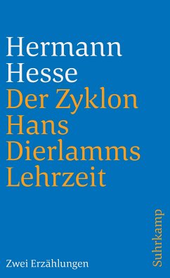 Der Zyklon und Hans Dierlamms Lehrzeit (eBook, ePUB) - Hesse, Hermann