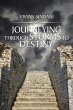 Journeying Through Storms to Destiny - Bild 1