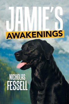 Jamie's Awakenings - Fessell, Nicholas