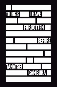 Things I Have Forgotten Before - Gambura, Tanatsei