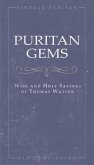Puritan Gems (eBook, ePUB)