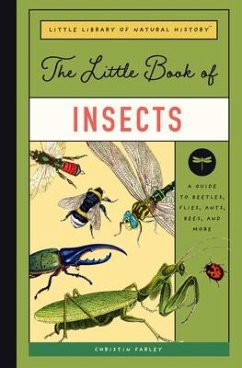 The Little Book of Insects - EVERETT, FORREST