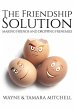 The Friendship Solution - Bild 1