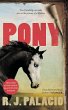 Pony - Bild 1