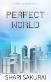 Perfect World