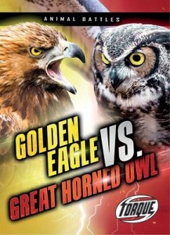 Golden Eagle vs. Great Horned Owl - Sommer, Nathan