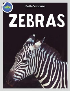 Zebra Activity Workbook ages 4-8 - Costanzo, Beth