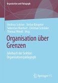 Organisation über Grenzen (eBook, PDF)
