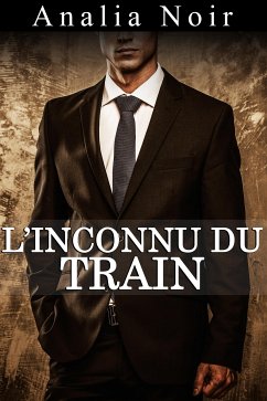 L'Inconnu du Train (eBook, ePUB) - Noir, Analia