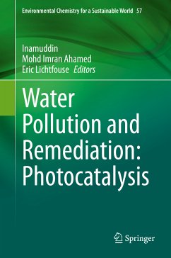 Water Pollution and Remediation: Photocatalysis (eBook, PDF)